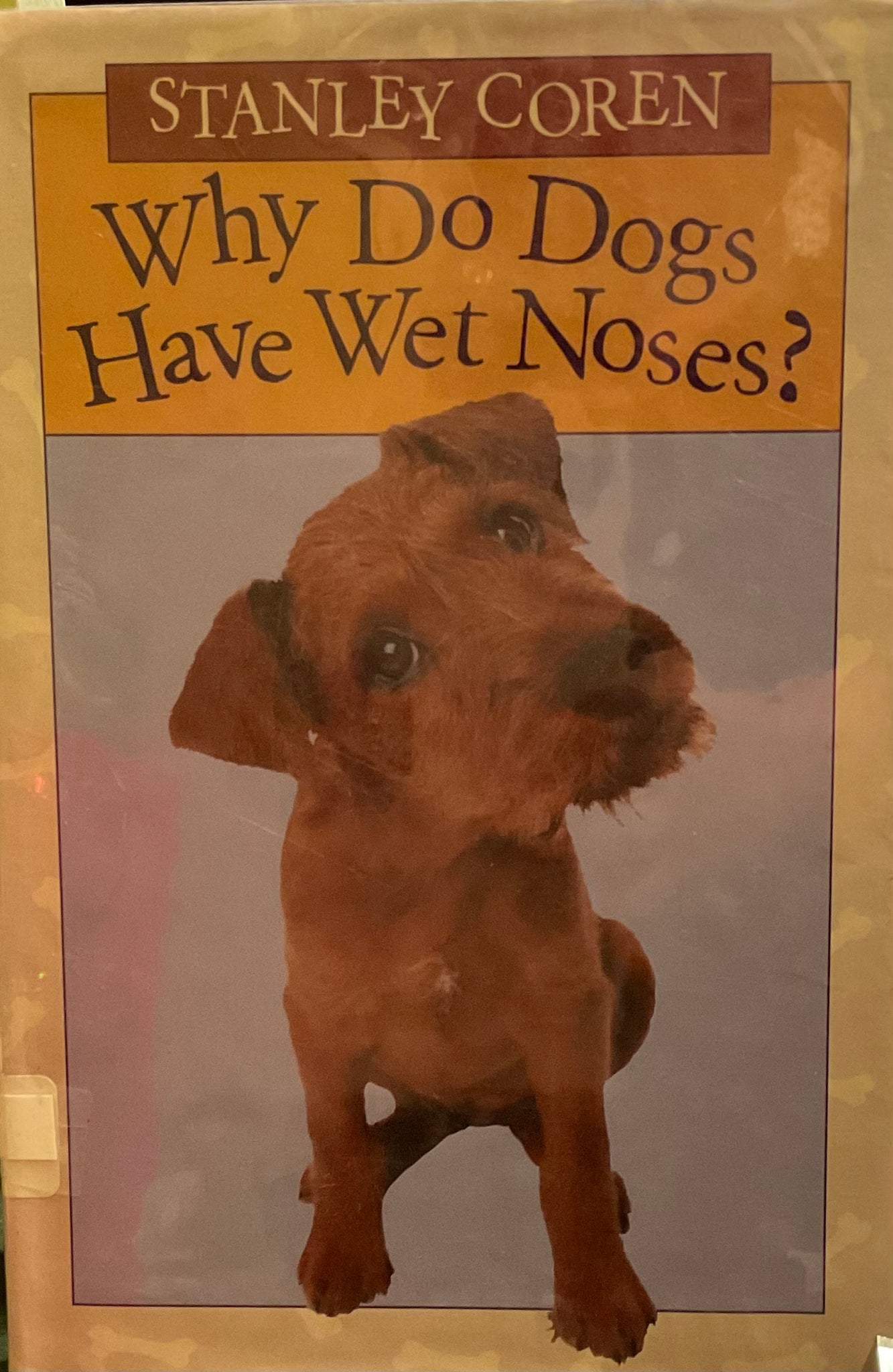 Why Do Dogs Have Wet Noses?, Stanley Corey