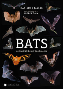 Bats: An Illustrated Guide to All Species
By Marianne Taylor