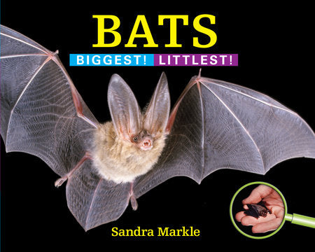 Bats: Biggest! Littlest!
By Sandra Markle